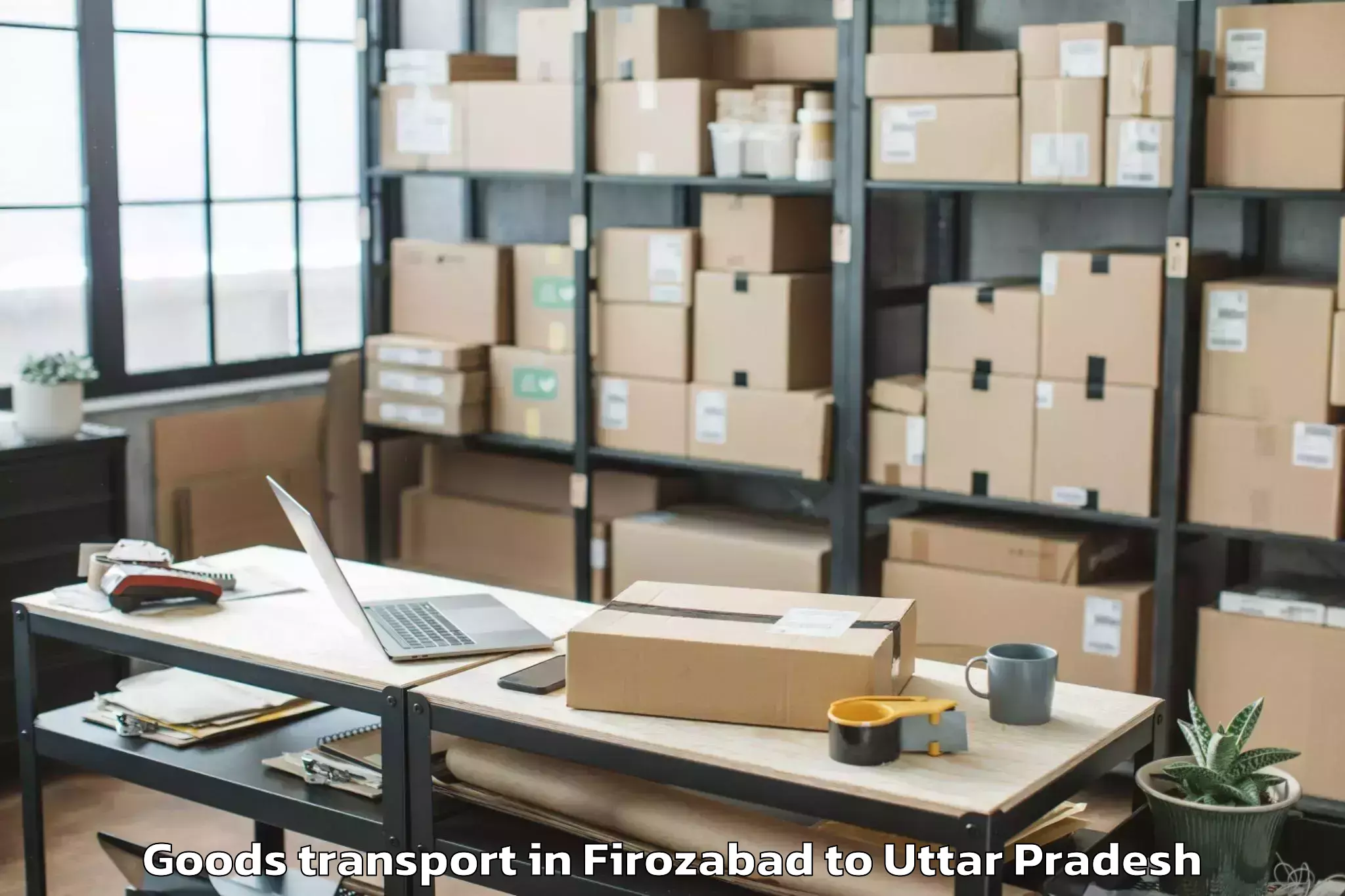 Reliable Firozabad to Ashok Cosmos Mall Goods Transport